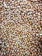 A lot of colored peanuts. Nuts in full screen.