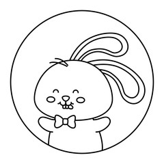 cute rabbit animal in frame circular vector illustration design