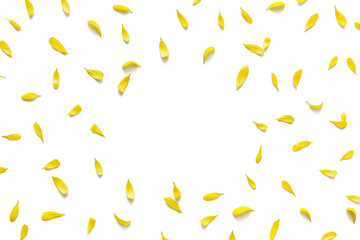 Yellow Petals On White Background