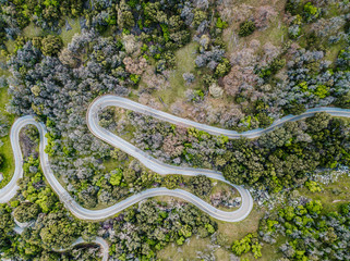 Drone view of curvng road in forestAerial view of a a forest