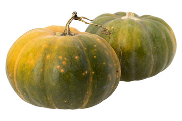 Pumpkins isolated on white background. Autumn.