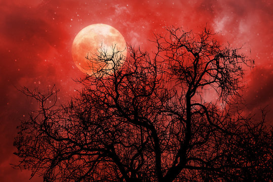 halloween background with red moon and dead tree