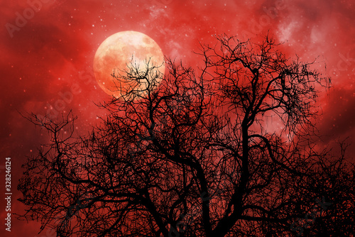 halloween background with red moon and dead tree