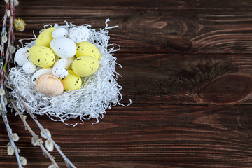 Easter, colored eggs on a light background, holiday background for your decoration. Near willow branches, feathers.