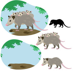 Mother possum with her cubs on her back climbs a tree against a background of fresh foliage and blue sky