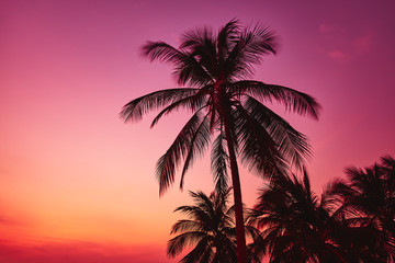Fototapeta na wymiar Tall palm tree by the sea on a background of bright red-orange sunset