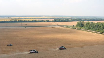 New harvesters on the field collect wheat. Panoramic view on the field of collected wheat. On the background the combine harvester collects the remains of wheat.