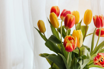  Bouquet of yellow and red tulips on the window copy space. Tulips on the windowsill.