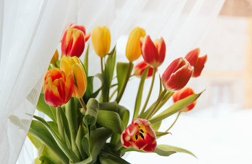  Bouquet of yellow and red tulips on the window copy space. Tulips on the windowsill.