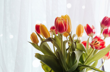  Bouquet of yellow and red tulips on the window copy space. Tulips on the windowsill.