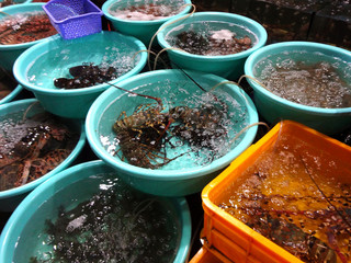 Lobster Sell in fresh seafood market