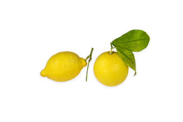 Two lemons with twigs and green leaf isolated on white background.