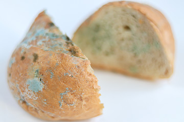Slices of moldy bread. Rotten and nasty. Located on a white background. An ugly product you cannot eat.