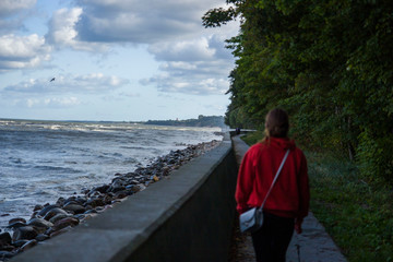 piękny krajobraz brzeg morza bałtyckiego