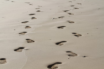 Stilleleben,sand,fussabdruck,liebe,sommer,urlaub,reisen,beach, sand, meer, fussabdruck, fussabdruck, fuss, ozean, wasser, sommer, küste, natur, fußstapfen, beeindruckend, welle, urlaub, gehen, bahn, a