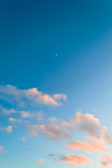 Blue sky with pink clouds and early moon (background). Portrait orientation with copy space