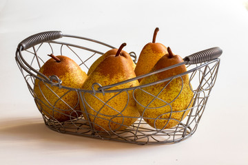 Poires Rocha, variété portugaise, dans corbeille métallique sur fond blanc