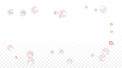 Vector Realistic Petals and Hearts Confetti. Flying Sakura and Hearts on Transparent Background. Wedding Invitation Background. Spring Romance Poster. Vector Illustration for Anniversary Design.