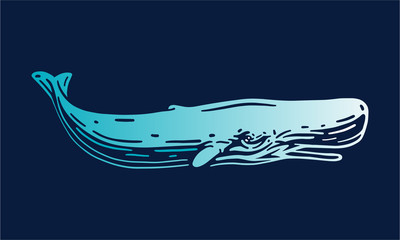 sperm whale on dark background