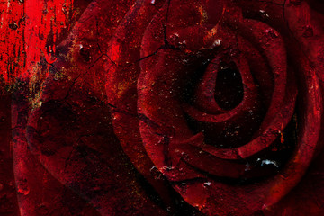 Mysterious red rose with dark cracks and remains of paint. For abstract background.