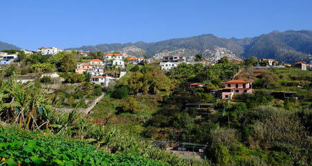 Fototapeta na wymiar Funchal suburbs and hillside houses, Funchal, Madeira, Portugal