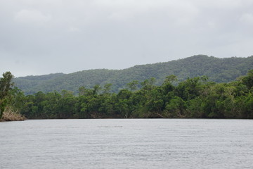 Daintre River view
