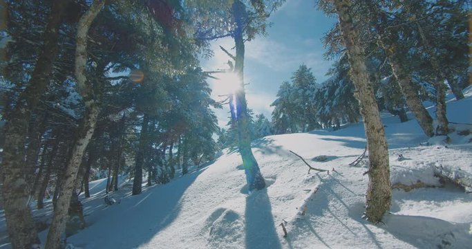 Snow paved mountain forest path during the last days of winter and on the transition towards spring.Hiking or skiing landscape.Original Pocketn 4K 10bit 4:2:2 clip.