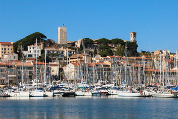 Yachts in the Harbour in Cannes