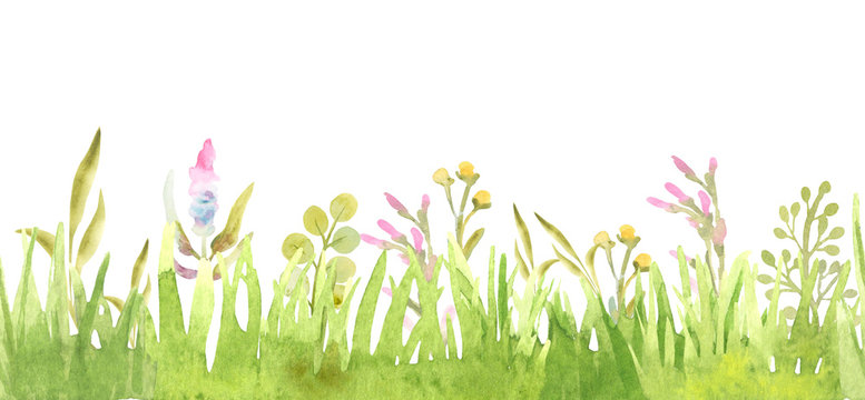 Fresh green grass seamless border.Watercolor hand drawn painting illustration isolated on a white background. Summer grassy element for design, nature landscape. Organic, bio, eco label and shape.