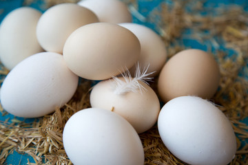 Fresh eggs on turquoise background