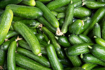 A bunch of green zucchinis seen from above.