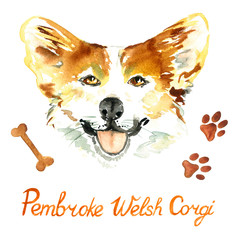 Pembroke Welsh Corgi face portrait with inscription, bone and paw imprints design elements, hand painted watercolor illustration, element for invitation, card, print, posters