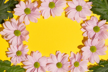 Pink chrysanthemum horizontal frame on yellow paper background.