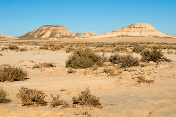 Fototapeta na wymiar Red Desert