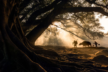 The early morning sunlight refracts the forest, and the farmer is ready to work