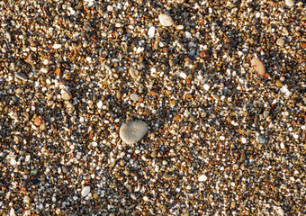Sand background texture.Sandy backdrop ready for desig