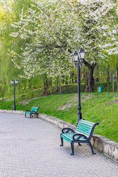 Valea Morilor park with Valea Morilor lake in Chisinau, Moldova on a sunny spring day. It is one of the most popular parks in Chisinau, Moldova