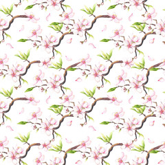 Watercolor painted white cherry blossoms seamless pattern.