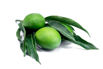 group of raw green mangoes with mango leaves