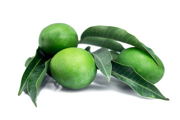 group of raw green mangoes with mango leaves