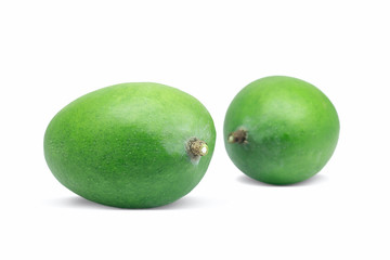 set of two raw green mangoes