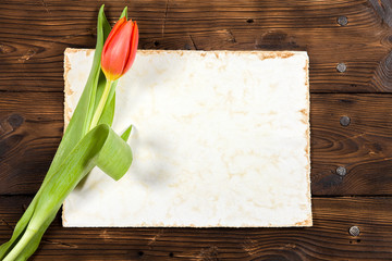 Red tulips with a greeting card lie on an old wooden table