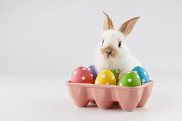 Easter bunny rabbit with colorful eggs