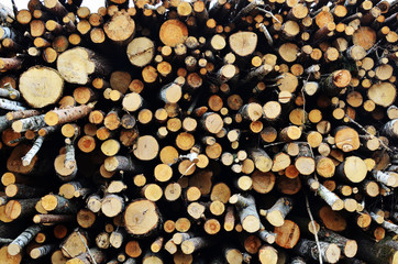 Logs stacked on logging and woodworking industry. A stock pile of timber, chopped down trees. Timber industry. De-forestation.