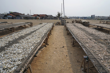 Fish is the main commodity in this fishing village.