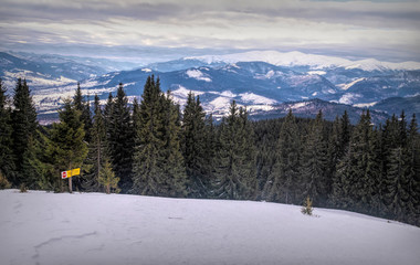 Winter cloudy landscape of the Carpathian Mountains in Eastern Europe