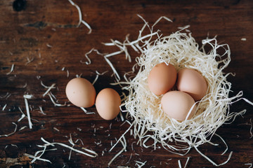 eggs in a white nest on a brown background