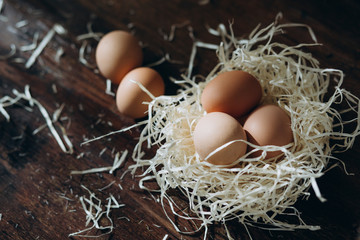 eggs in a white nest on a brown background