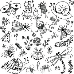 Bugs doodle vector simply set