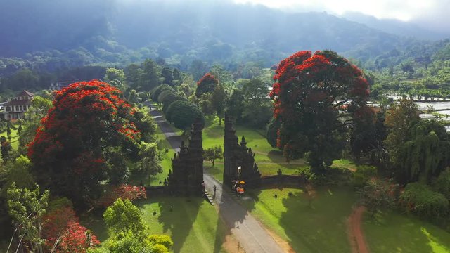 Amazing view of Handara Gate and trees with red flowers in the morning with the mist over mountain in Bali, Indonesia. Aerial view 4K.